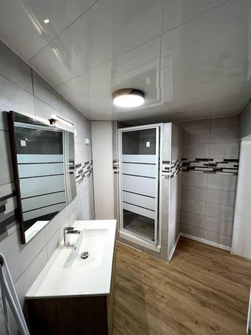Appartement Avec Belle Vue Ouzouer-Sur-Trezee エクステリア 写真